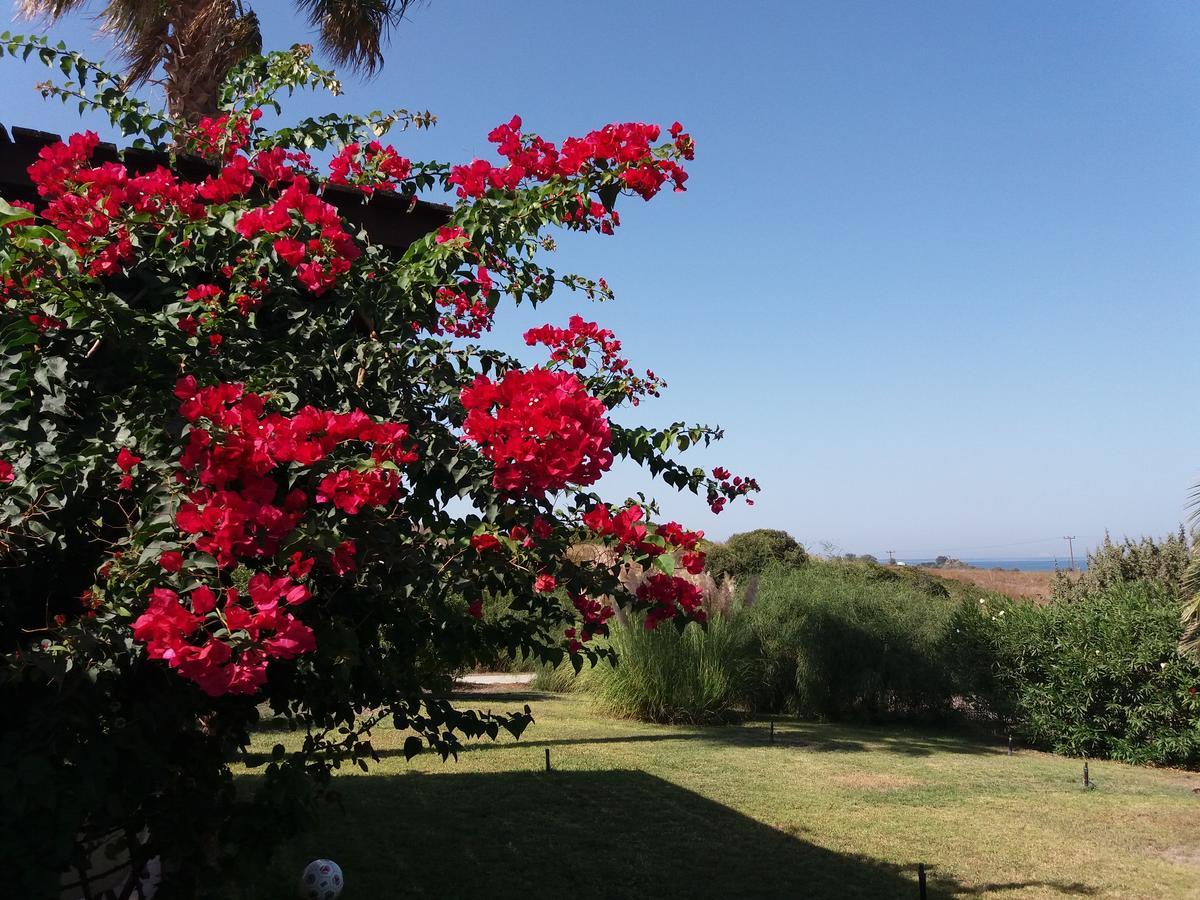 Villa Kos Mastichari  Eksteriør billede