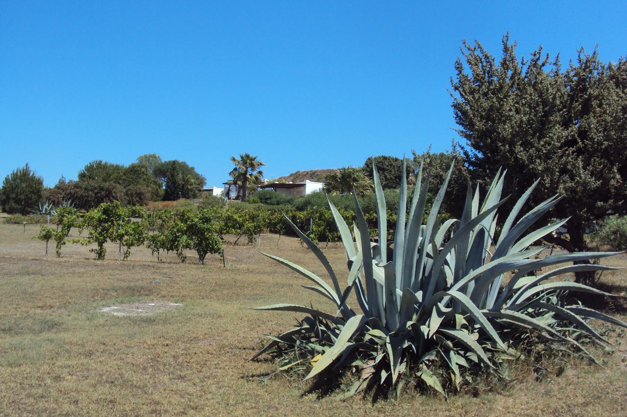 Villa Kos Mastichari  Eksteriør billede