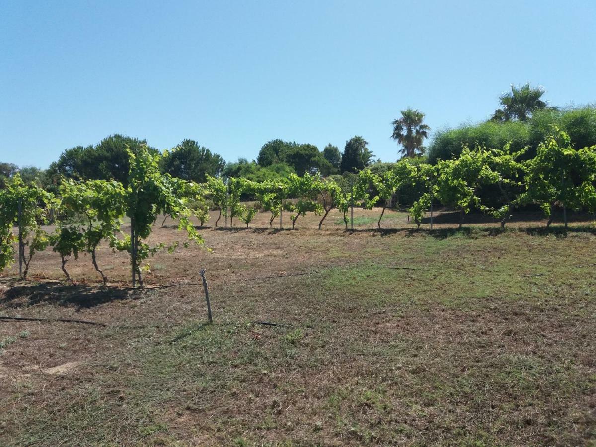 Villa Kos Mastichari  Eksteriør billede